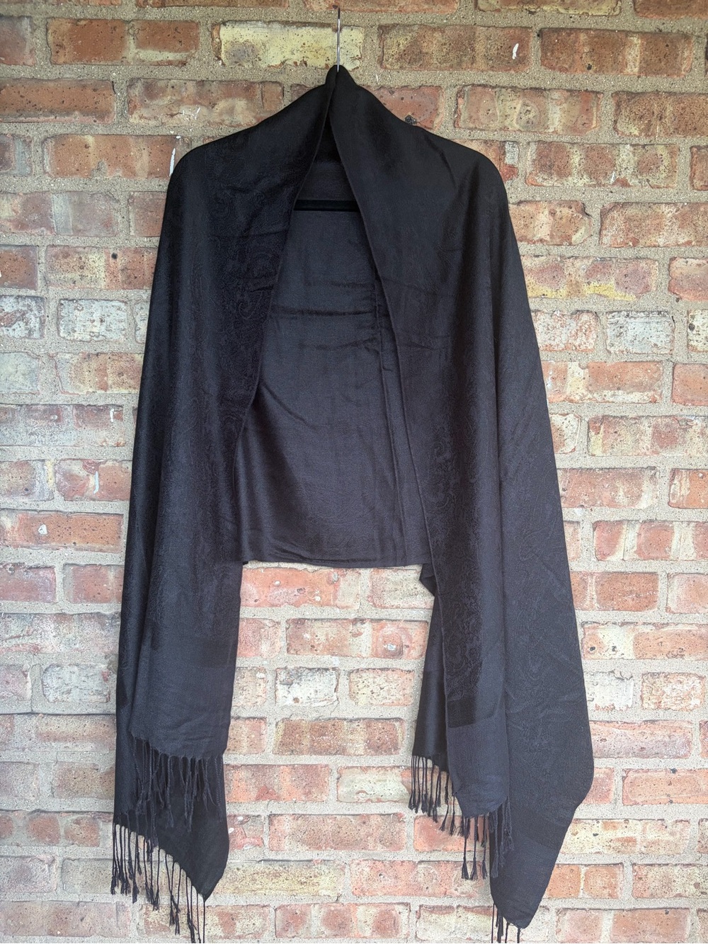 Pashmina Paisely Fringe Scarf